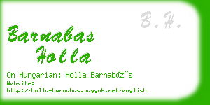 barnabas holla business card